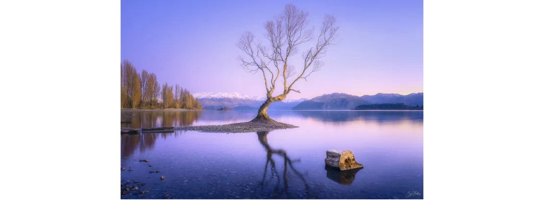 Budget Private Tours and Shuttle Services