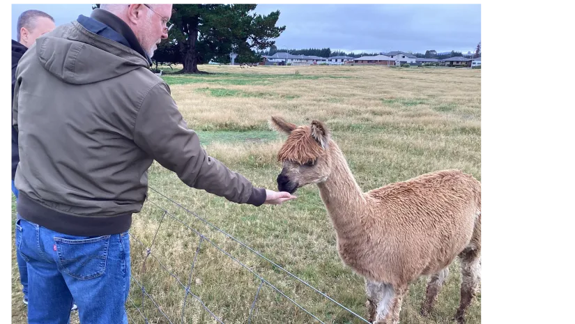 Budget Private Tours and Shuttle Services