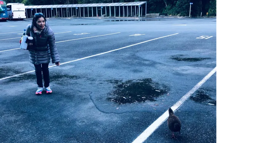 Budget Private Tours and Shuttle Services